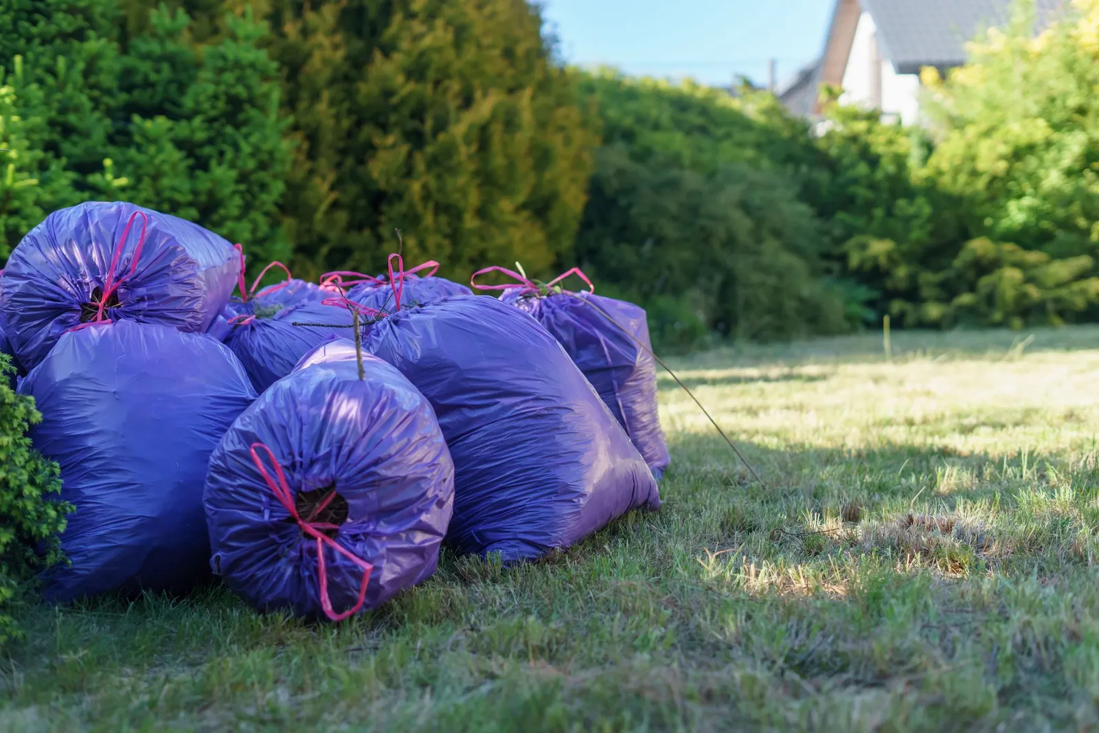 Refuse Sacks & Bin Liners
